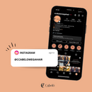 CABELO VIETNAMITA LISO LEVEMENTE ONDULADO 40CM (100g)